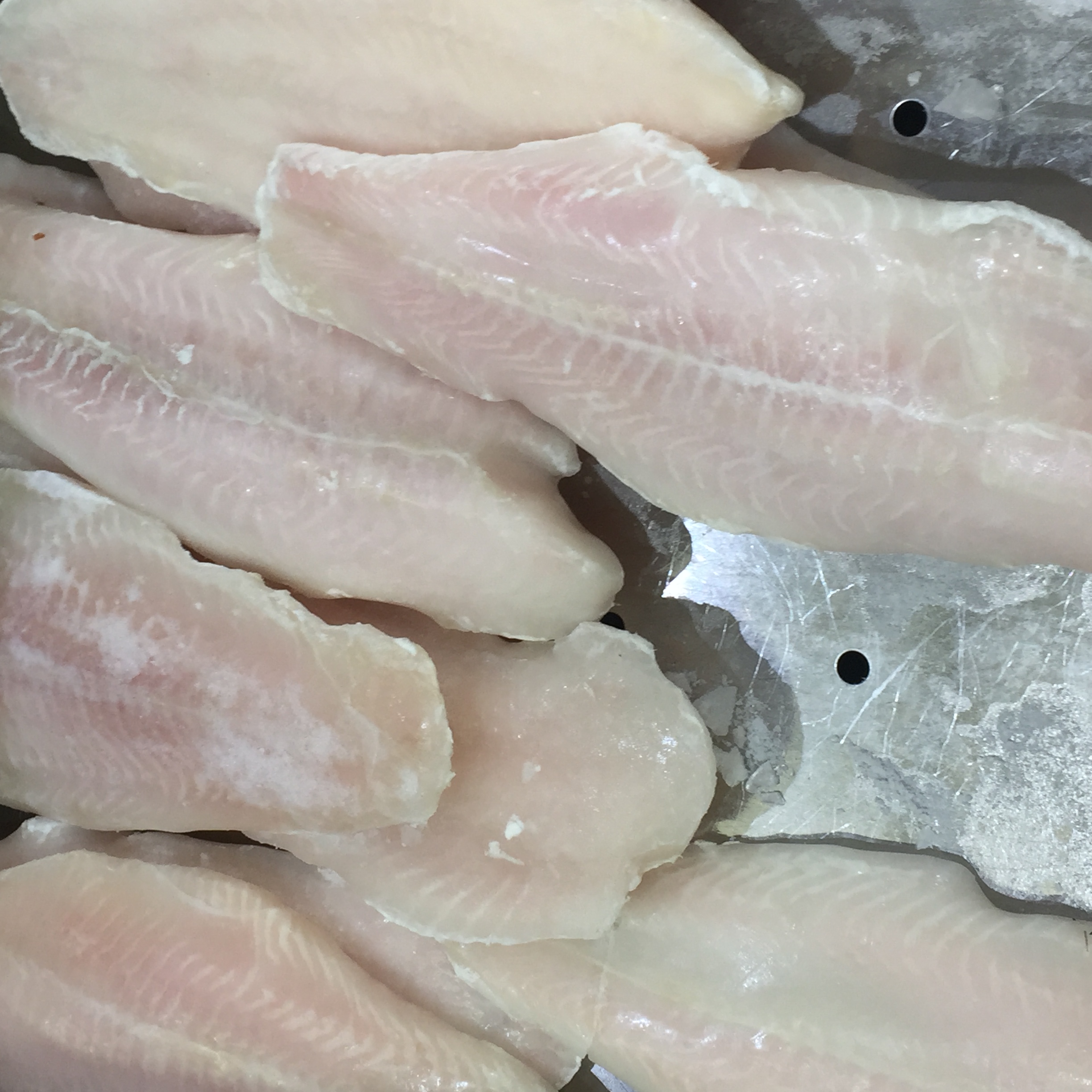 Frozen fish fillets